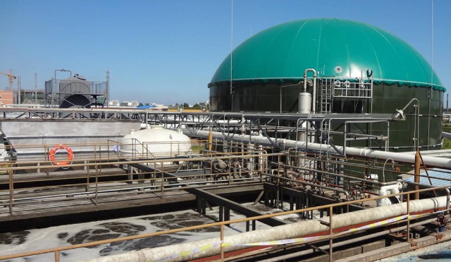 1742202404124129.jpg 1741848705224808.jpg