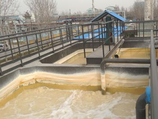 1742204932977134.png 1741850754917253.png